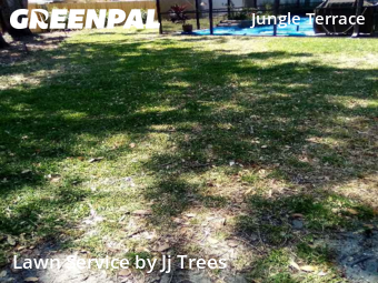 Grass Cutting nearby St. Petersburg, FL, 