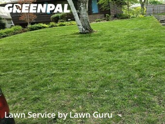 Grass Cut nearby Minneapolis, MN, 