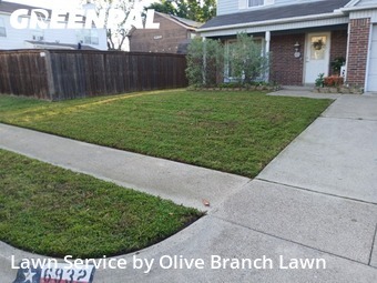 Yard Cutting nearby Watauga, TX, 