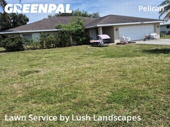 Grass Cut nearby Cape Coral, FL, 