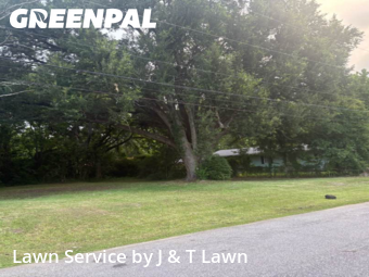Yard Work in Prichard, 36610, Turf Services by J & T Lawn , work completed in Oct , 2025