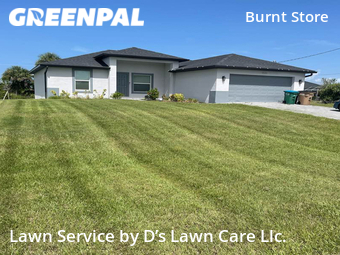 Grass Cutting nearby Cape Coral, FL, 