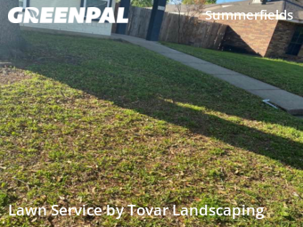 Lawn Cut nearby Fort Worth, TX, 