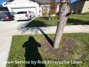 Lawn Cuttingin Sanford,32771,Lawn Cutting by Rios Enterprise Lawn, work completed in Jan , 2026