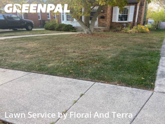 Grass Care in Eastpointe, 48021, Yard Care by Floral And Terra , work completed in Nov , 2025