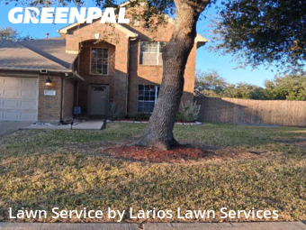Lawn Maintenancein Pearland,77584,Lawn Service by Larios Lawn Services, work completed in Feb , 2026