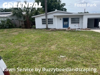 Yard Mowing nearby St. Petersburg, FL, 