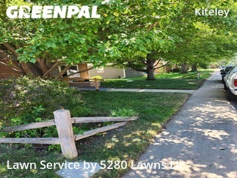 Lawn Mow nearby Longmont, CO, 