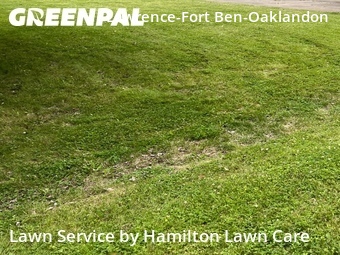 Lawn Cutting nearby Indianapolis, IN, 