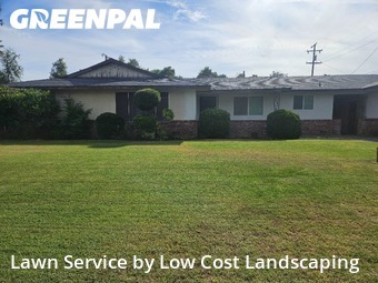 Grass Cut nearby Fresno, CA, 