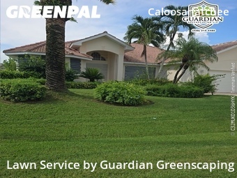 Lawn Cut nearby Cape Coral, FL, 