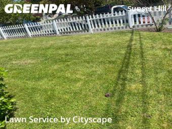 Lawn Cut nearby Seattle, WA, 