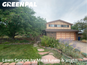 Lawn Cut nearby Littleton, CO, 