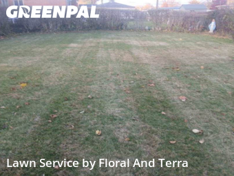 Yard Cutting nearby Warren, MI, 