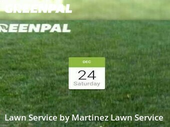 Grass Cut nearby Elk Grove, CA, 