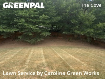 Lawn Mowing nearby Raleigh, NC, 