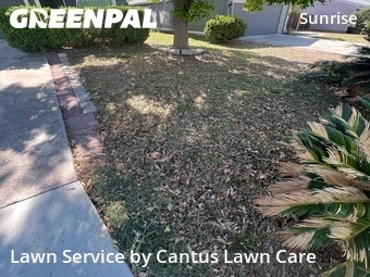 Lawn Mowing Service nearby San Antonio, TX, 