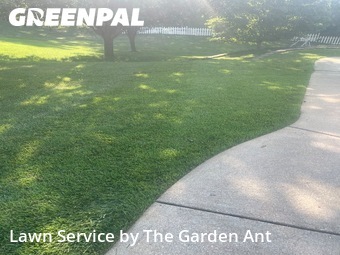 Lawn Mowing nearby Fenton, MO, 