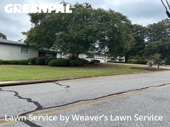 Grass Cut nearby Columbus, GA, 