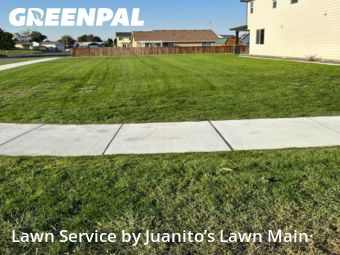 Grass Care in Pasco, 99301, Grass Services by Juanito’s Lawn Main·, work completed in Nov , 2025