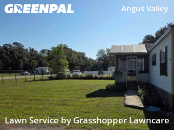 Grass Cutting nearby Zephyrhills, FL, 