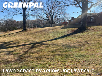 Lawn Mowing Service nearby Mt. Juliet, TN, 