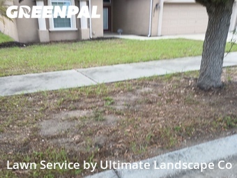 Lawn Mowing Service nearby Wimauma, FL, 
