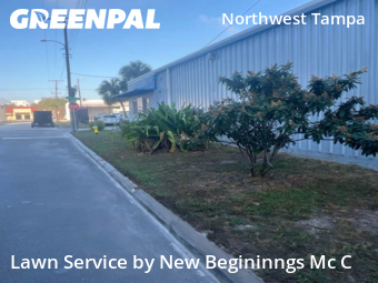 Lawn Maintenance nearby Tampa, FL, 
