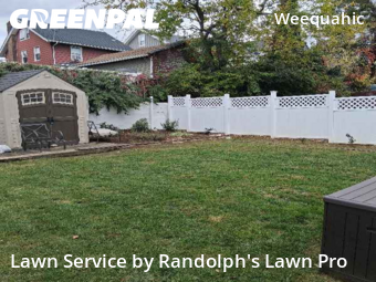 Weed Trimming in Newark, 7112, Lawn Maintenance by Randolph's Lawn Pro, work completed in Oct , 2025