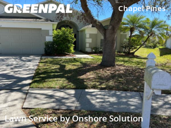 Lawn Mowing Service nearby Wesley Chapel, FL, 