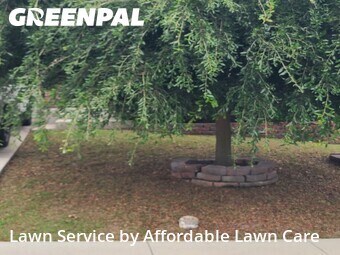 Lawn Mow nearby New Braunfels, TX, 