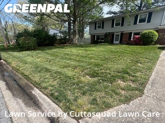 Yard Mowing nearby Virginia Beach, VA, 