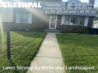 Yard Cutting nearby Baltimore, MD, 