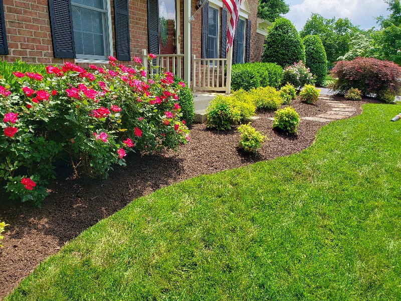 affordable-lawn-services-in-Arlington-VA