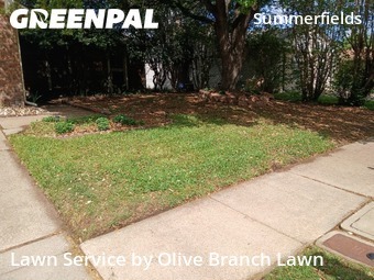 Lawn Mow nearby Fort Worth, TX, 