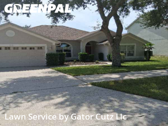 Lawn Cutting nearby Minneola, FL, 