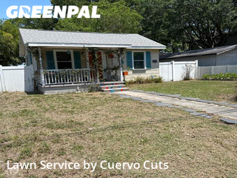 Grass Cut nearby St. Petersburg, FL, 