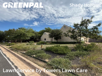 Weed Trimming in Austin, 78739, Turf Services by Towers Lawn Care, work completed in Nov , 2025