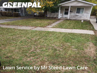 Yard Mowing in Madison Heights, 48071, Turf Services by Mr Steed Lawn Care, work completed in Dec , 2025