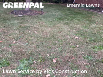 Yard Cutting nearby Joliet, IL, 