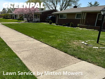 Grass Cut nearby Warren, MI, 