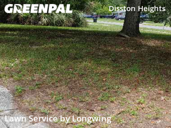 Lawn Cutin St Petersburg,33710,Lawn Service by Longwing, work completed in Jan , 2026