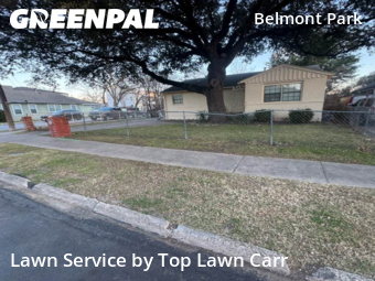 Lawn mowed in Dallas, 75204