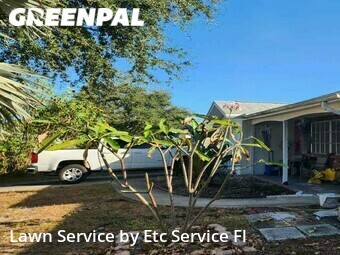 Lawn Mow nearby Clearwater, FL, 
