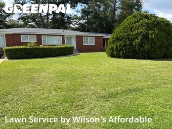 Lawn Cut nearby Valdosta, GA, 
