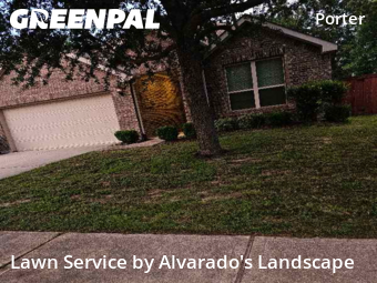 Lawn Care Servicein Porter,77365,Lawn Care by Alvarado's Landscape, work completed in Jan , 2026