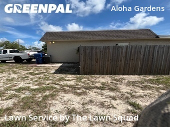 Lawn Maintenance nearby Holiday, FL, 