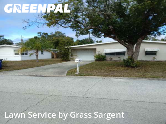 Lawn Cutin Clearwater,33765,Lawn Maintenance by Grass Sargent, work completed in Jan , 2026