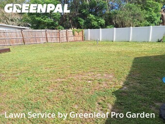 Lawn Cut nearby Orlando, FL, 