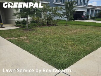 Lawn Mow nearby Wesley Chapel, FL, 